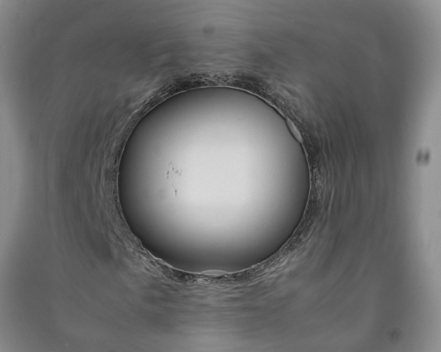 X0000090961057200708161811