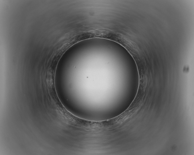 X0000090961058200708161811
