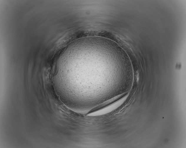 X0000090961059200708161811