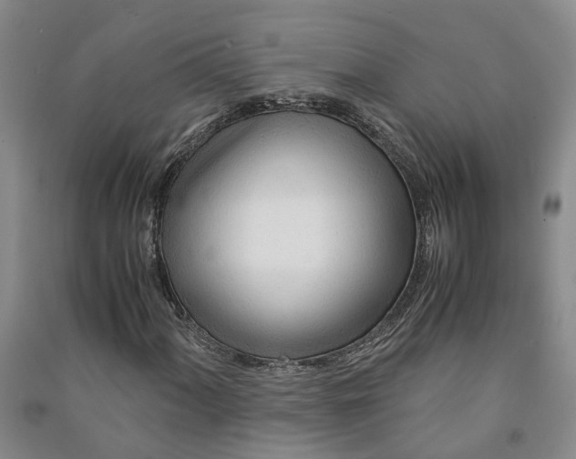 X0000090961060200708161811