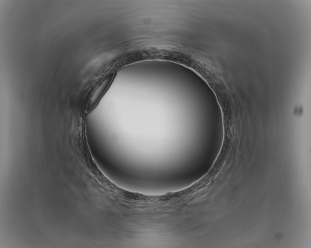 X0000090961061200708161811