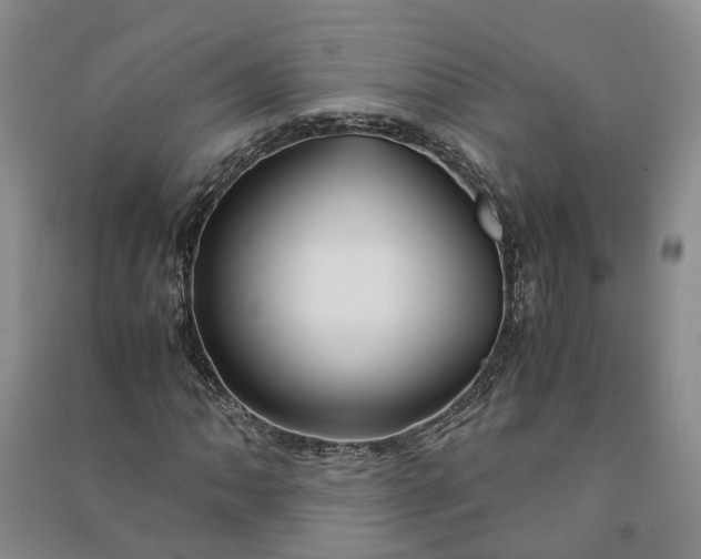 X0000090961062200708161811