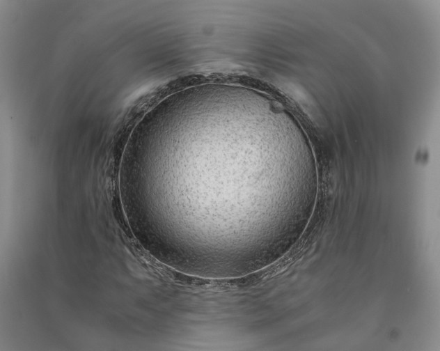 X0000090961063200708161811