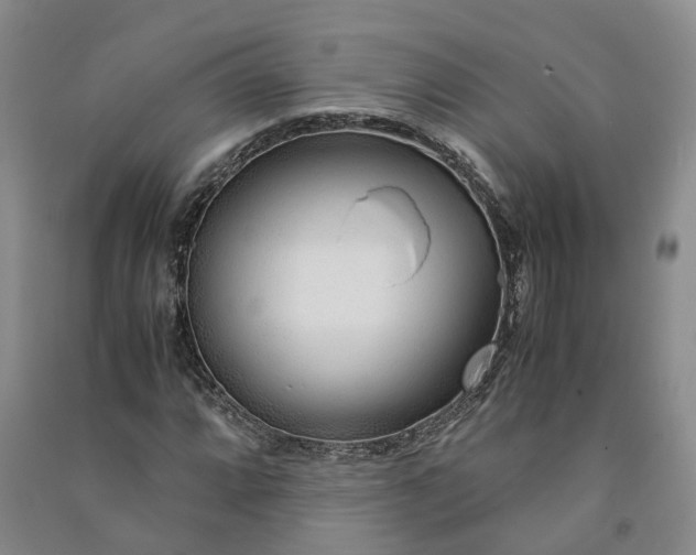 X0000090961064200708161811