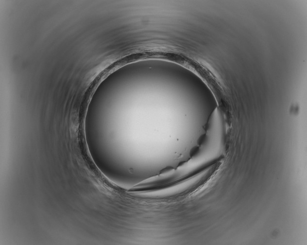 X0000090961065200708161811