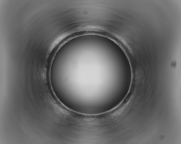 X0000090961066200708161811