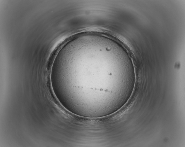 X0000090961067200708161811