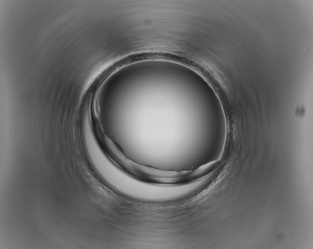 X0000090961069200708161811