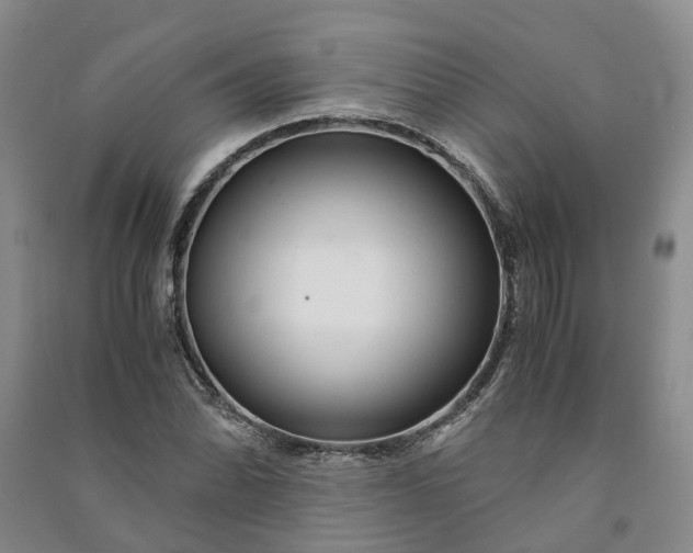 X0000090961070200708161811