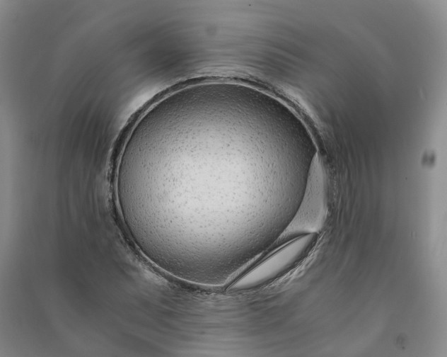 X0000090961071200708161811