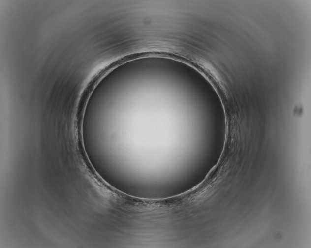 X0000090961072200708161811