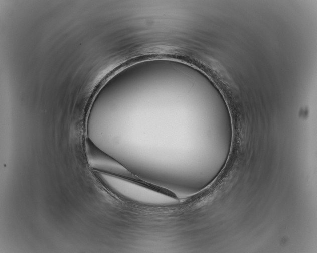 X0000090961073200708161811