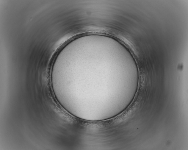 X0000090961074200708161811