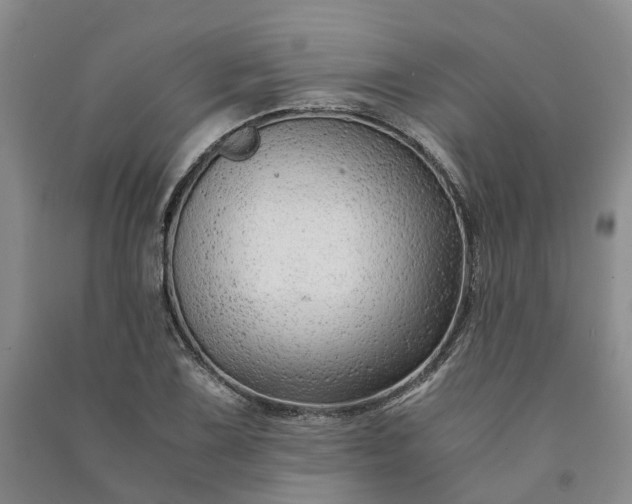 X0000090961075200708161811