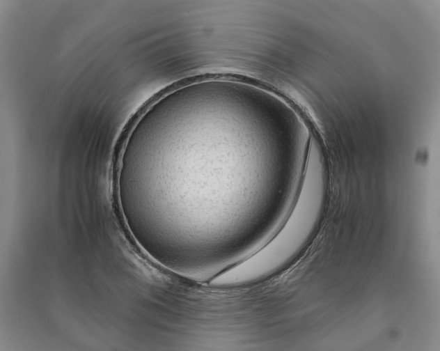 X0000090961076200708161811