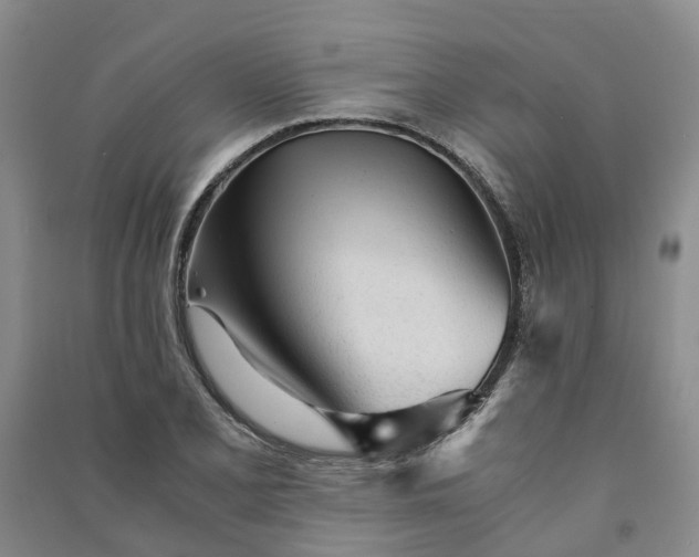 X0000090961077200708161811