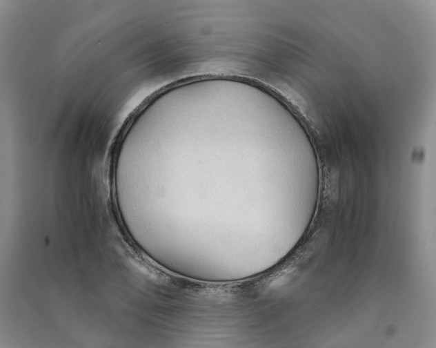 X0000090961078200708161811