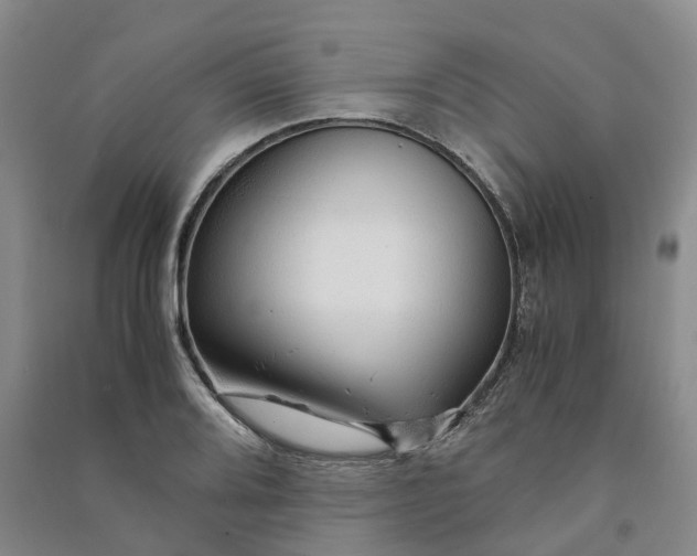 X0000090961080200708161811