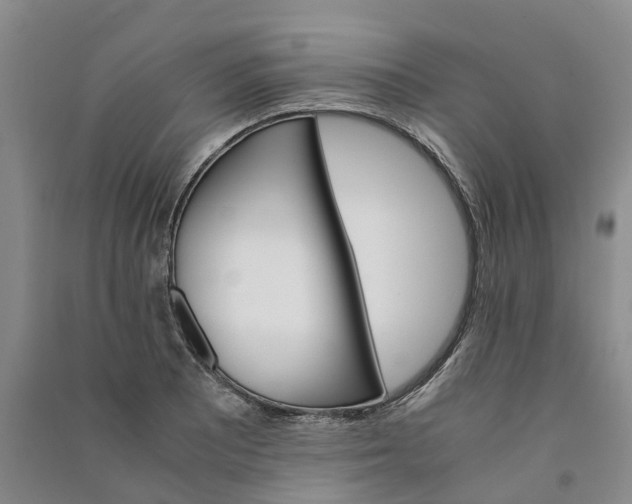 X0000090961081200708161811