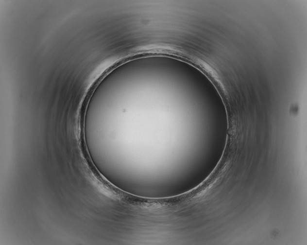 X0000090961082200708161811