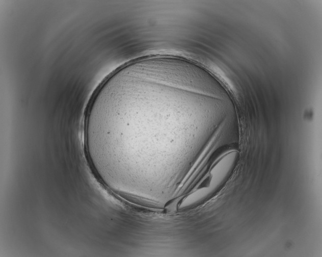 X0000090961084200708161811