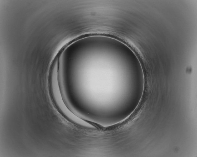 X0000090961085200708161811
