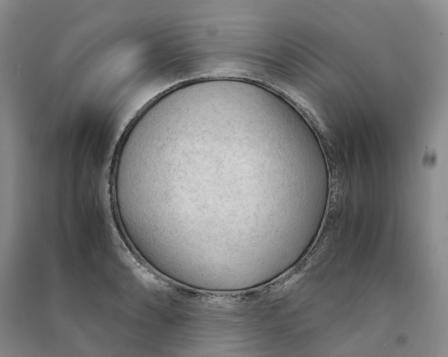 X0000090961086200708161811