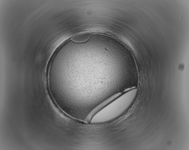 X0000090961087200708161811