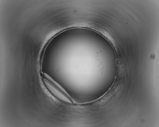 X0000090961088200708161811