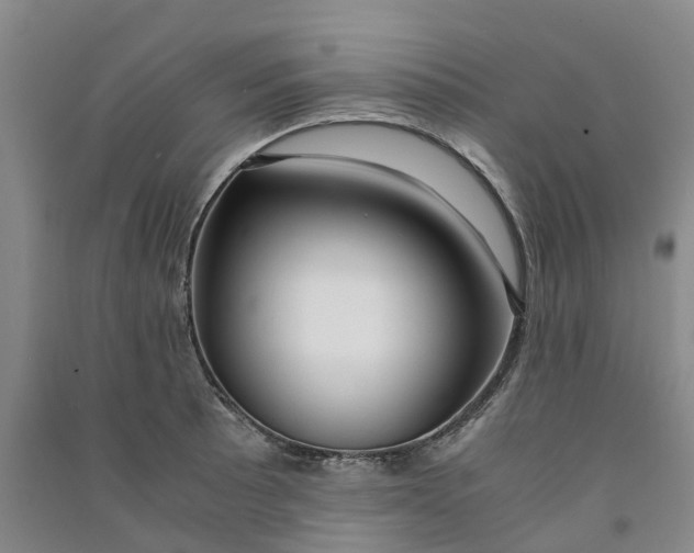 X0000090961089200708161811