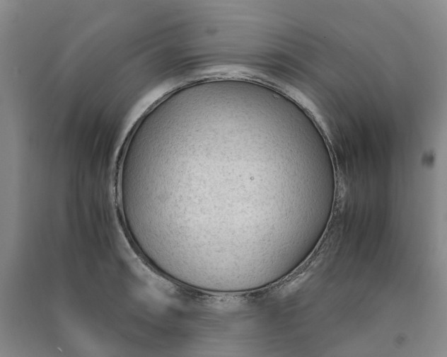X0000090961090200708161811