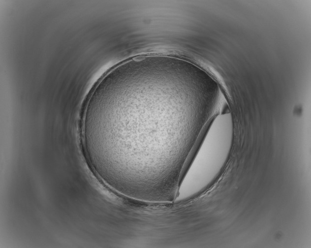 X0000090961091200708161811