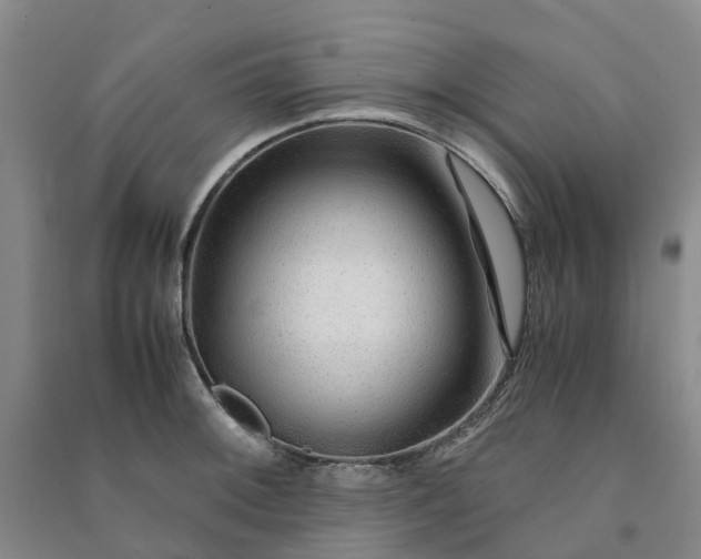 X0000090961092200708161811