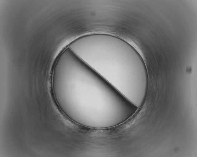 X0000090961093200708161811