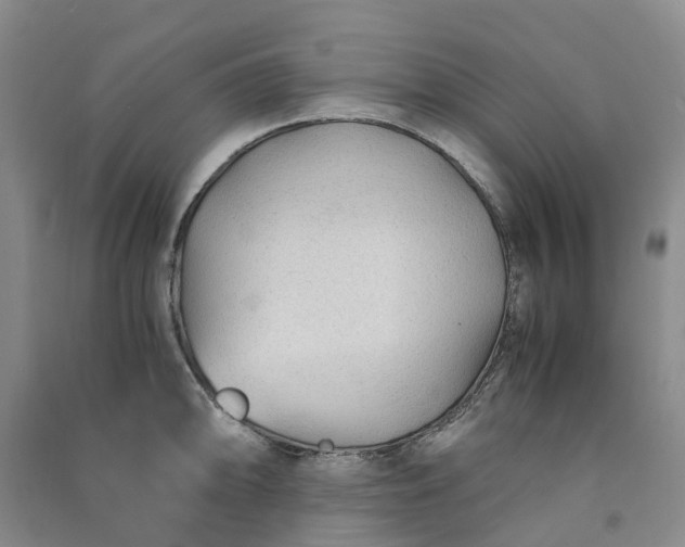 X0000090961094200708161811