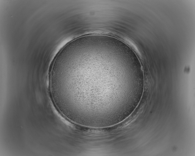 X0000090961095200708161811