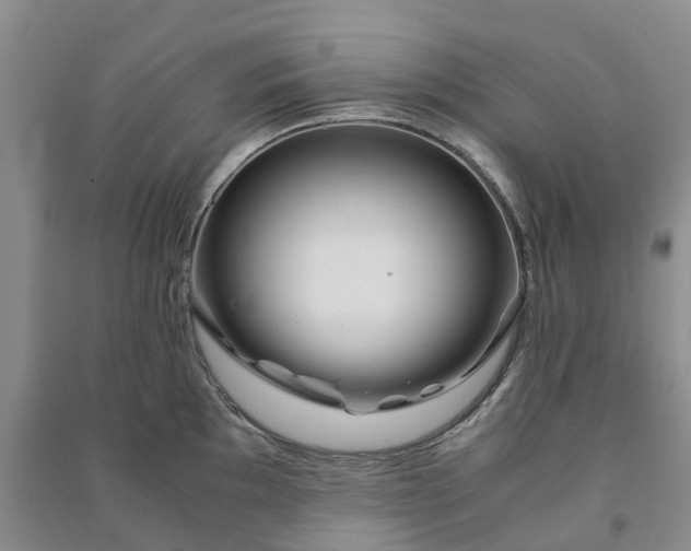 X0000090961097200708161811