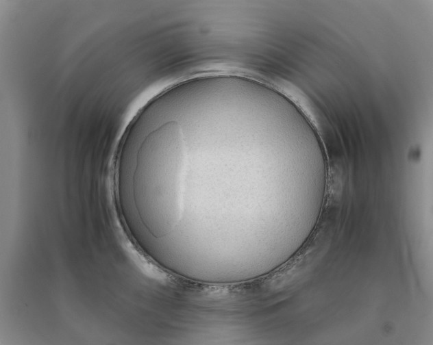 X0000090961098200708161811