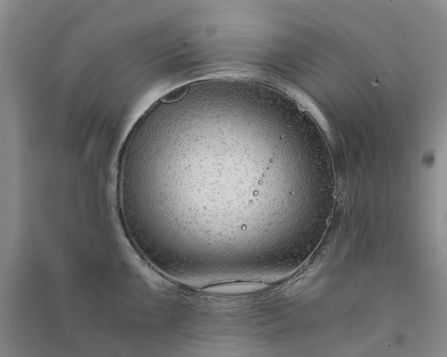 X0000090961099200708161811