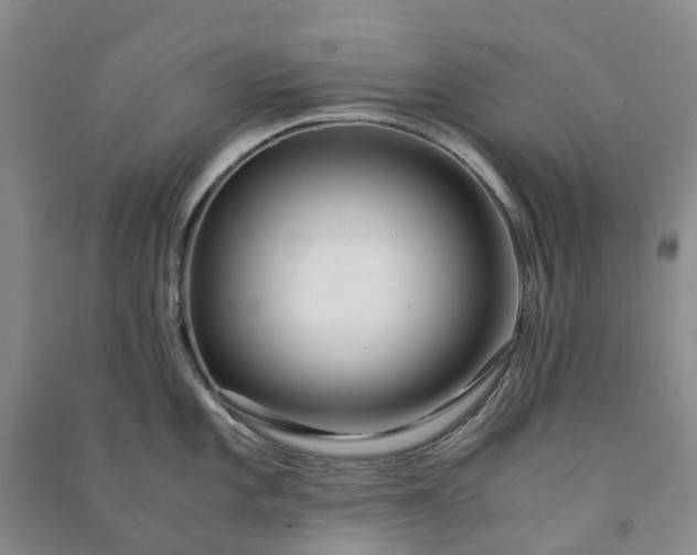 X0000090961101200708161811