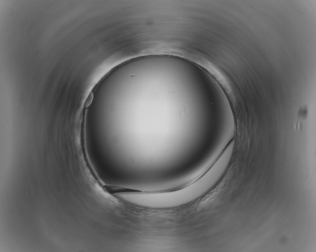 X0000090961102200708161811