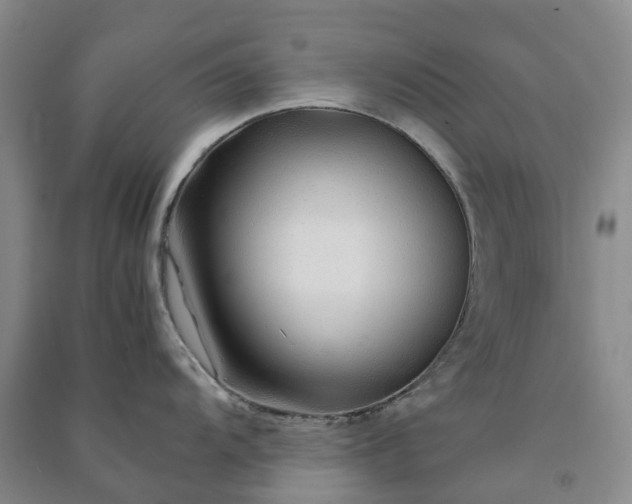 X0000090961104200708161811