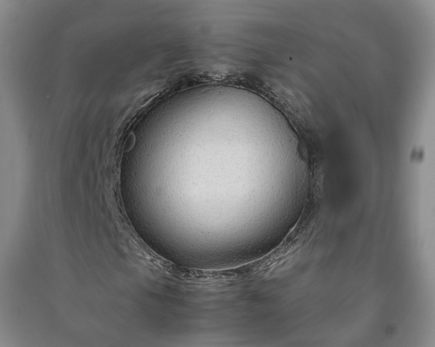 X0000090961105200708161810
