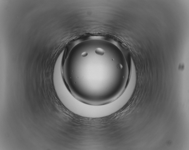 X0000090961106200708161810