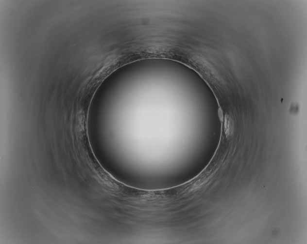 X0000090961107200708161810