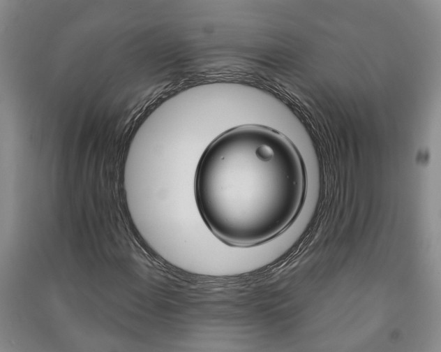 X0000090961108200708161810