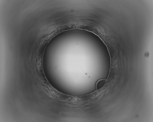 X0000090961109200708161810