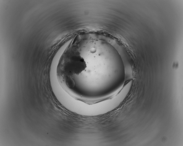 X0000090961110200708161810