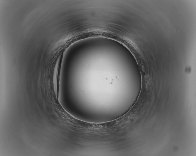 X0000090961111200708161810