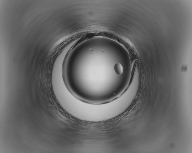 X0000090961112200708161810